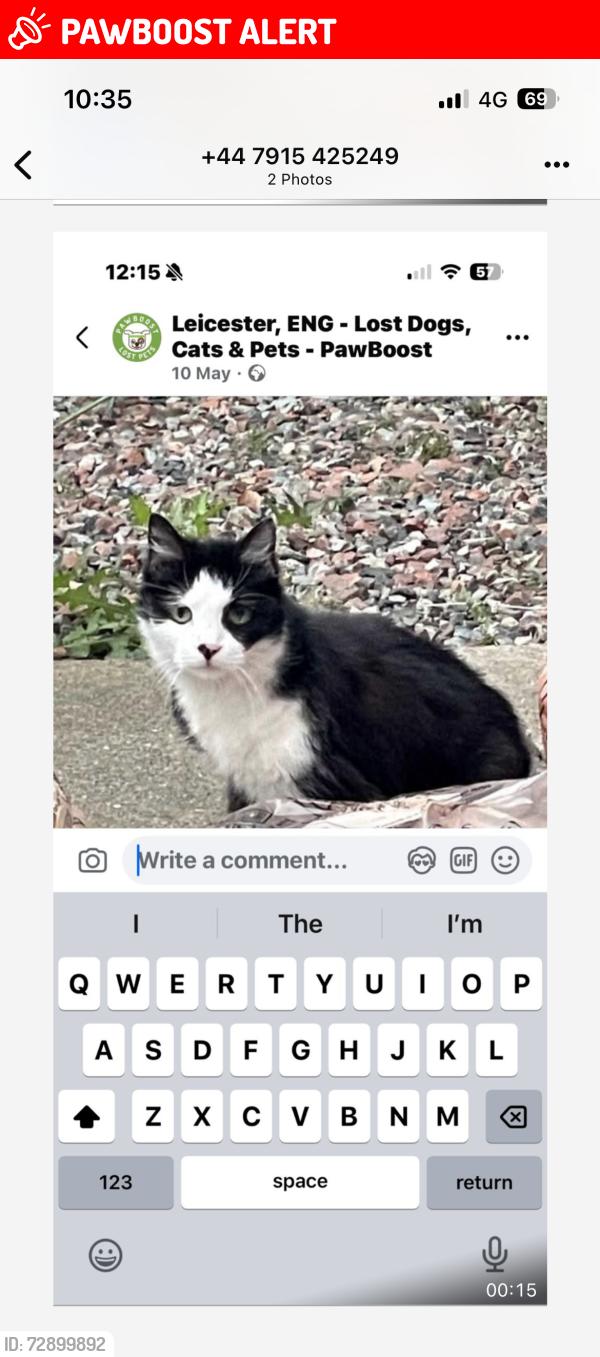 Lost Female Cat last seen Herle walk, Leicester, England LE3
