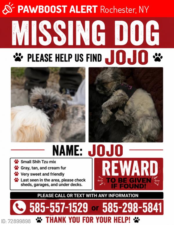 Lost Female Dog last seen Joseph, Rochester, NY 14605