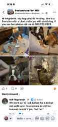 Lost Female Dog last seen Beckenham neighborhood, Fort Mill, SC 29715