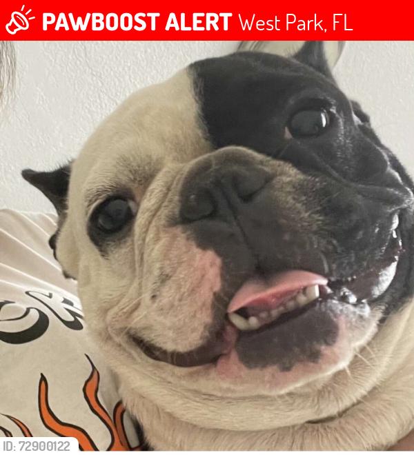 Lost Female Dog last seen West park , West Park, FL 33023