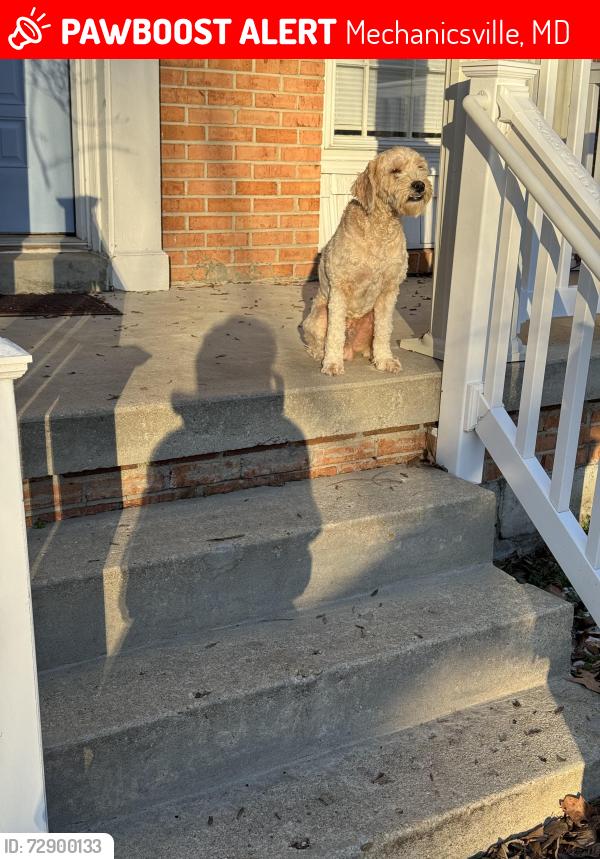 Lost Male Dog last seen Iconic shores, Mechanicsville, MD 20659