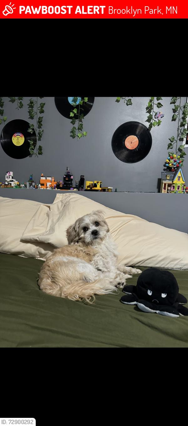 Lost Male Dog last seen penn ave , Brooklyn Park, MN 55443