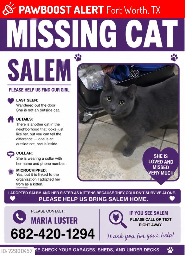Lost Female Cat last seen kickapoo dr apache dr, Fort Worth, TX 76179