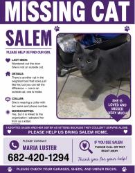 Lost Female Cat last seen kickapoo dr apache dr, Fort Worth, TX 76179