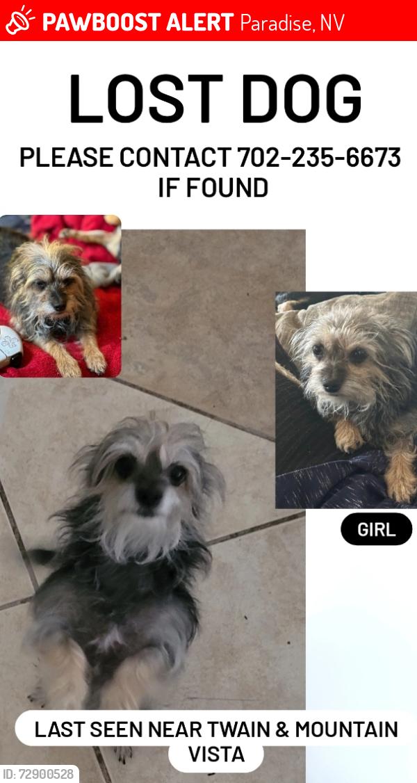 Lost Female Dog last seen Twain & Mountain Vista, Paradise, NV 89121