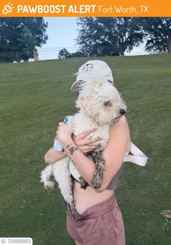 Found/Stray Female Dog last seen On the Fossil Creek Golf Course hole 8, Fort Worth, TX 76137