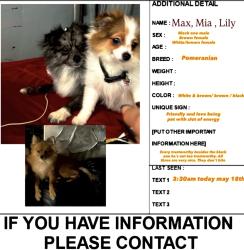 Lost Female Dog last seen E Roger’s st Arlington Tx , Arlington, TX 76011