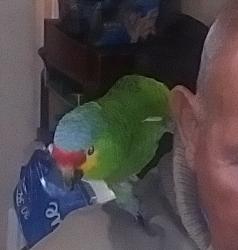 Lost Unknown Bird last seen Arroyo Verde Park in Ventura, around the hiking trails, Ventura, CA 93003