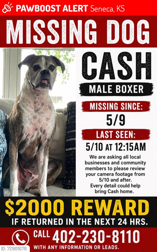 Lost Male Dog last seen south 8th street, seneca, ks, Seneca, KS 66538