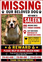 Lost Female Dog last seen Near Stahl Rd San Antonio, TX  78247 United States, San Antonio, TX 78247