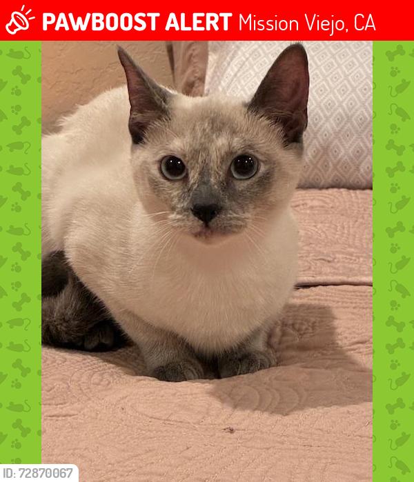 Lost Female Cat last seen Appian Way, Mission Viejo, CA 92691