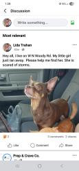 Lost Female Dog last seen Near , Briar, TX 76020