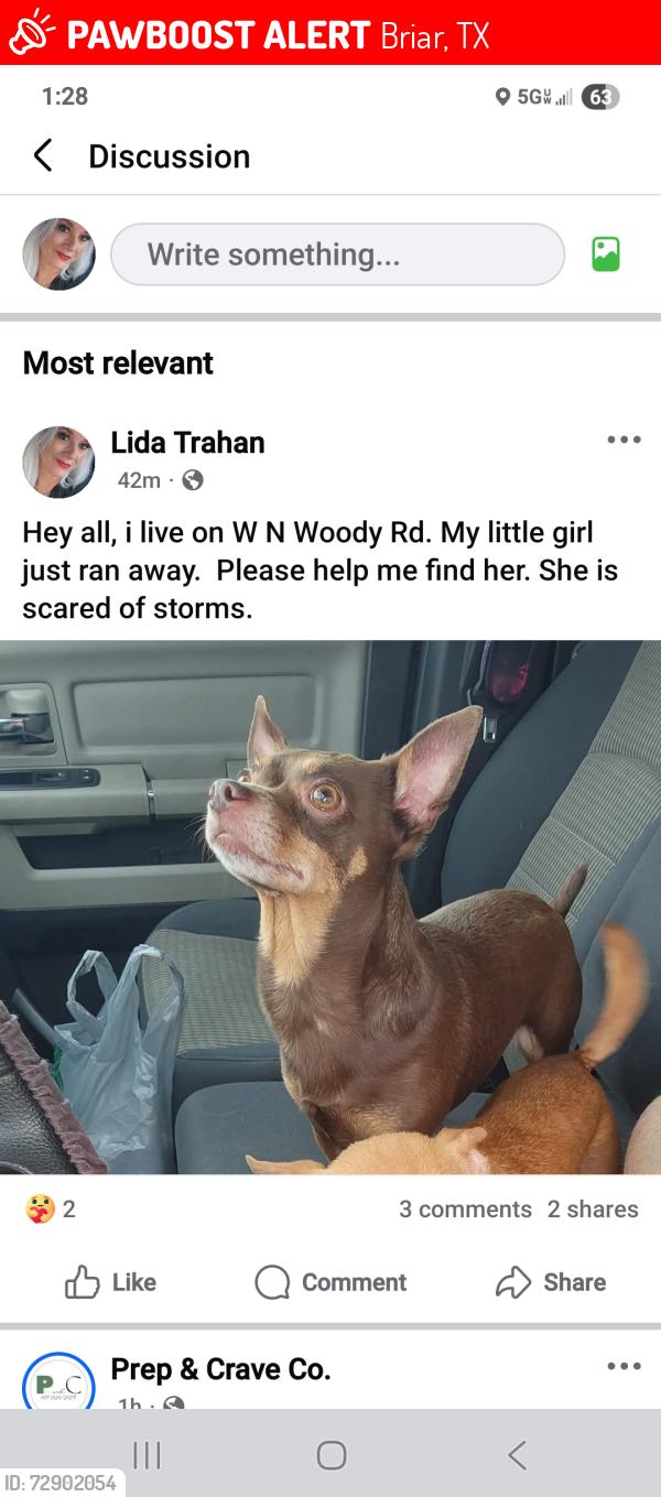 Lost Female Dog last seen Near , Briar, TX 76020