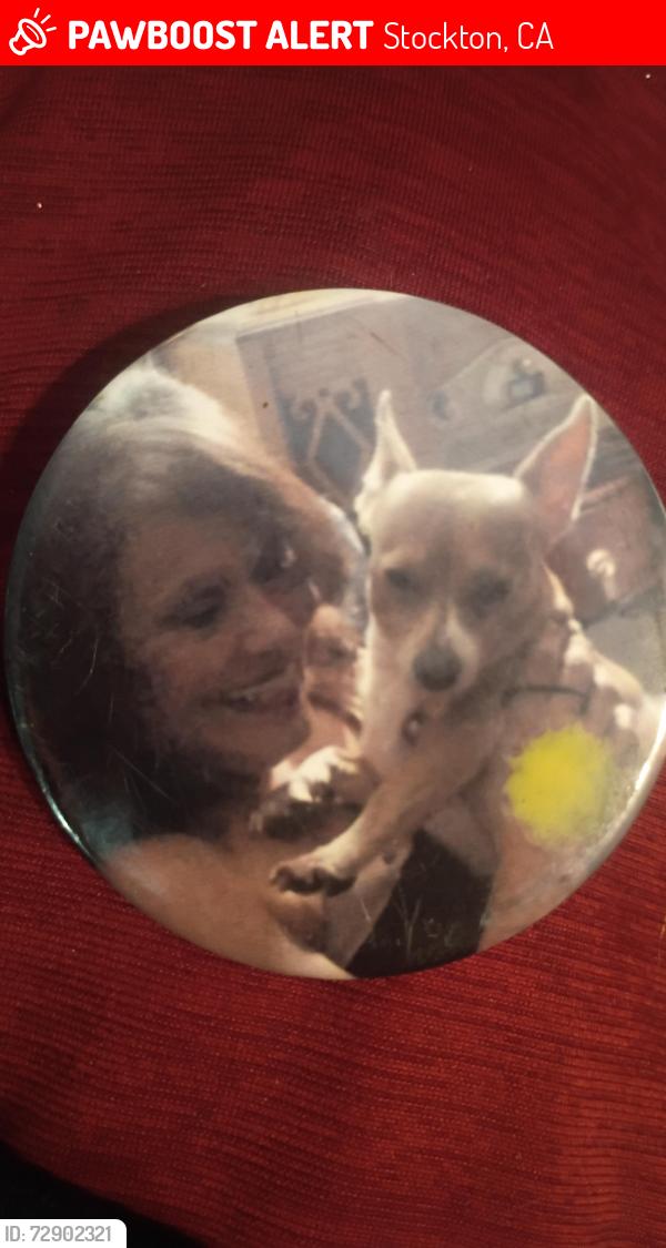 Lost Male Dog last seen BIANKI ST, Stockton, CA 95204