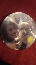 Lost Male Dog last seen BIANKI ST, Stockton, CA 95204