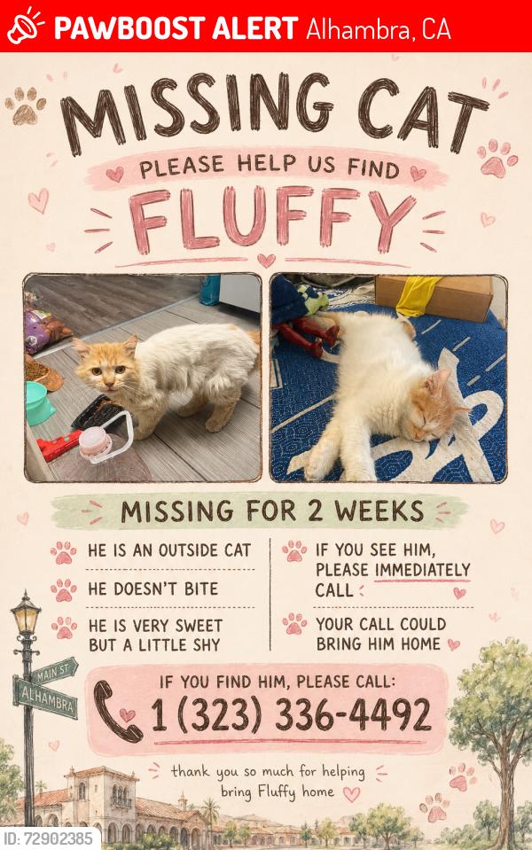 Lost Male Cat last seen Near Front St Alhambra, CA  91803 United States, Alhambra, CA 91803