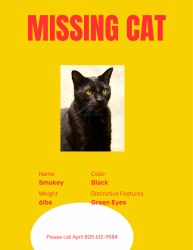 Lost Male Cat last seen Collins Street and Jourdan Street, Oxnard, CA 93036