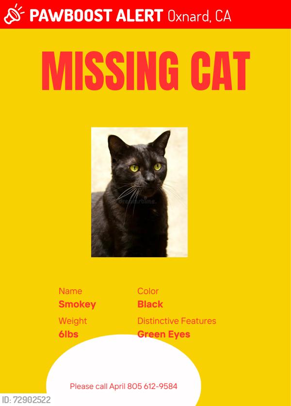 Lost Male Cat last seen Collins Street and Jourdan Street, Oxnard, CA 93036