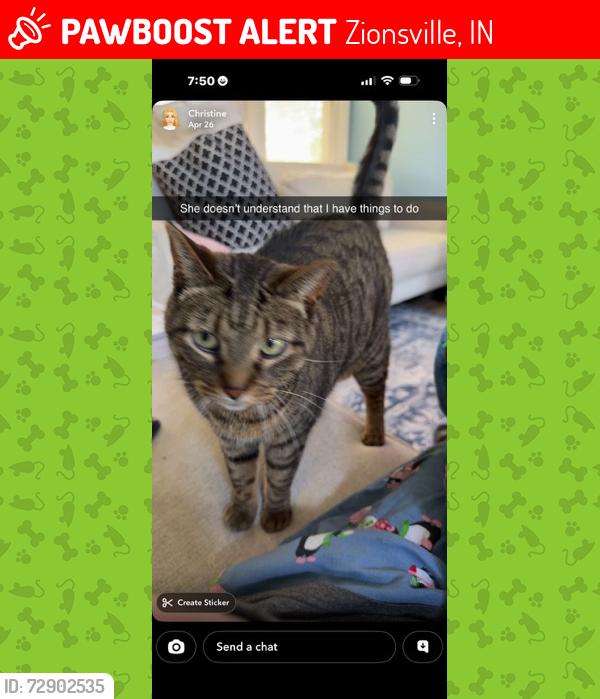 Lost Female Cat last seen Zionsville Middle School, Village Walk Subdivision, Oak & Ford Street, Zionsville, IN 46077