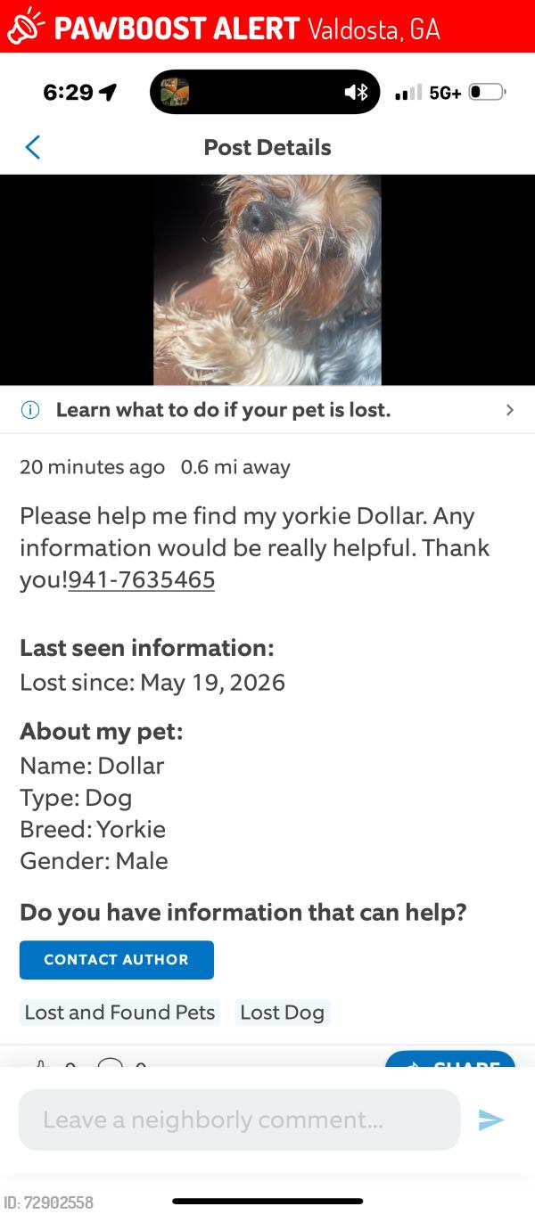 Lost Male Dog last seen Randoph st, Valdosta, GA 31602