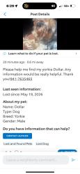 Lost Male Dog last seen Randoph st, Valdosta, GA 31602