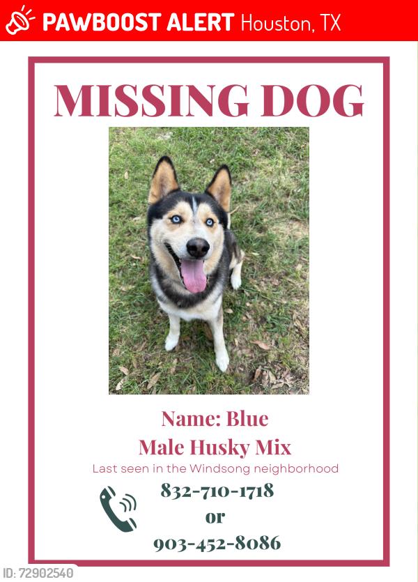 Lost Male Dog last seen Keith harrow/Barkercypress/hw6, Houston, TX 77084