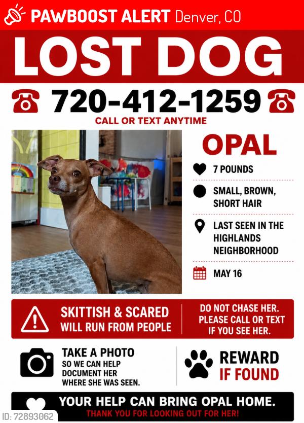 Lost Female Dog last seen HAPPY CAMPER / AVANTI, Denver, CO 80211