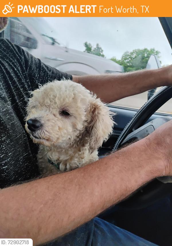 Found/Stray Male Dog last seen Near scrapyard, Fort Worth, TX 76135