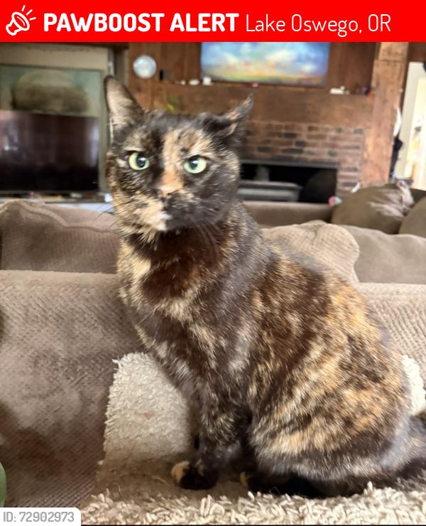 Lost Female Cat last seen Oak and Bickner st, Lake Oswego, OR 97034