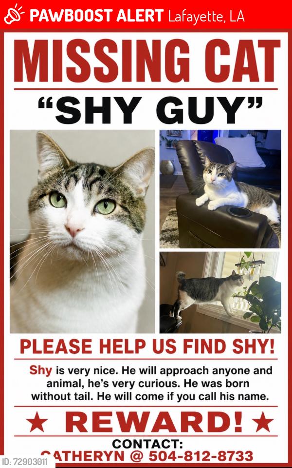 Lost Male Cat last seen Ridgeview Dr, Lafayette, LA 70507