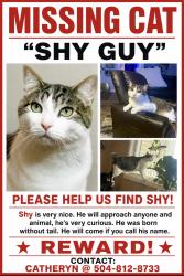 Lost Male Cat last seen Ridgeview Dr, Lafayette, LA 70507