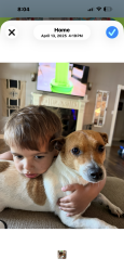 Lost Male Dog last seen Anchor Lake, Carriere, MS 39426
