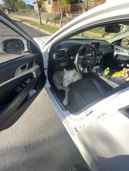 Found/Stray Male Dog last seen Filaree and Patricia st, Moreno Valley, CA 92551
