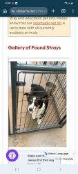 Found/Stray Male Dog last seen Found at EZ Mart on Poindexter , Cleburne, TX 76031