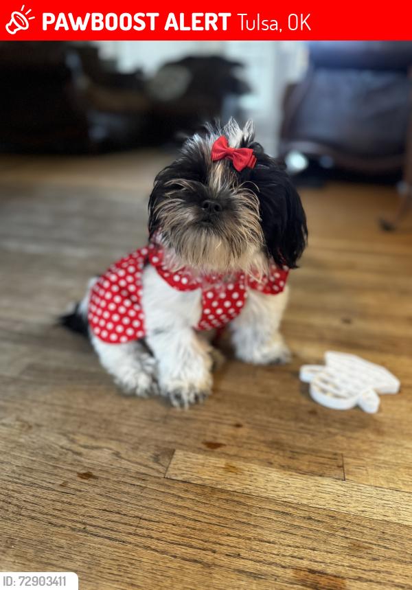 Lost Female Dog last seen Near s 80 th ave, Tulsa, OK 74112
