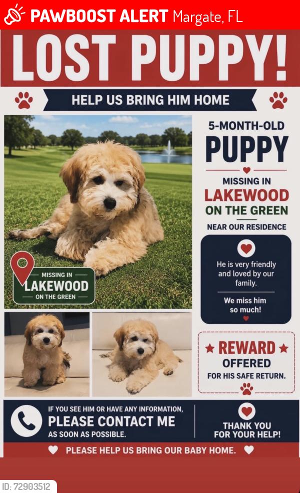 Lost Male Dog last seen Inside communuty, Margate, FL 33063