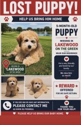 Lost Male Dog last seen Inside communuty, Margate, FL 33063
