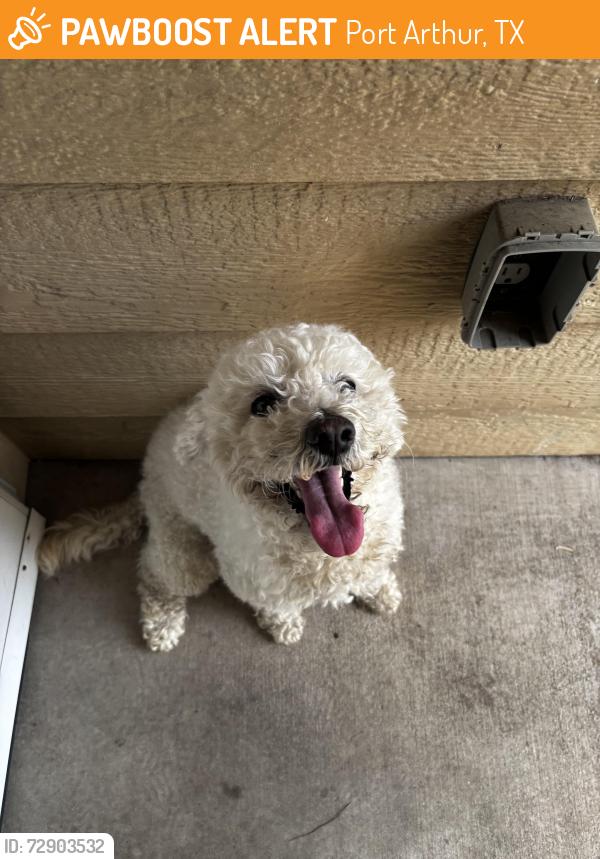 Found/Stray Male Dog last seen 19th Street and Dequeen Blvd, Port Arthur, TX 77640