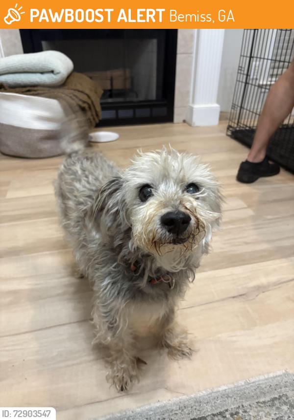 Found/Stray Male Dog last seen Freedom park , Bemiss, GA 31605
