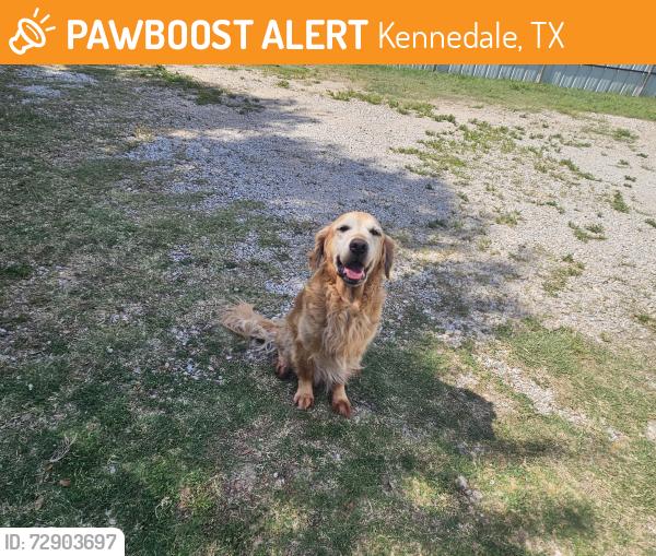 Found/Stray Male Dog last seen Pennsylvania and Little School Rd , Kennedale, TX 76060