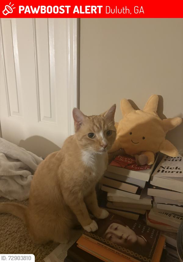 Lost Male Cat last seen Near Kingsley Park Court, Peachtree Corners, GA, 30096, Duluth, GA 30096