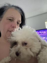 Lost Female Dog last seen Jefferson, Newport News, VA 23601