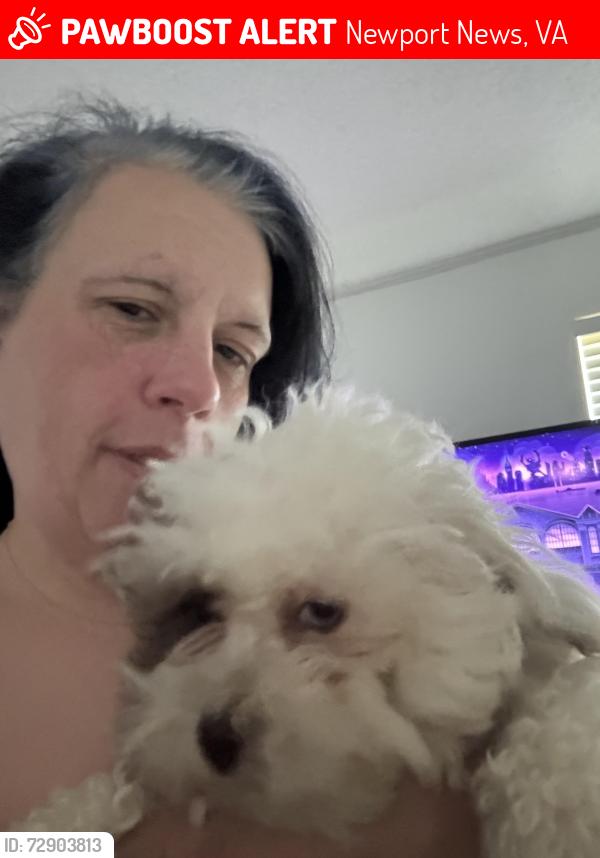 Lost Female Dog last seen Jefferson, Newport News, VA 23601