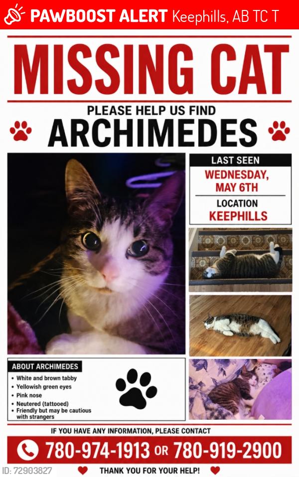 Lost Male Cat last seen Keephills Community Hall, Keephills, AB T0C 2T0
