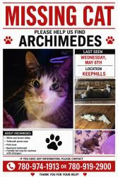 Lost Male Cat last seen Keephills Community Hall, Keephills, AB T0C 2T0