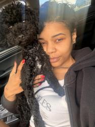 Reunited Female Dog last seen Near S Natrona Street , Philadelphia, PA 19145
