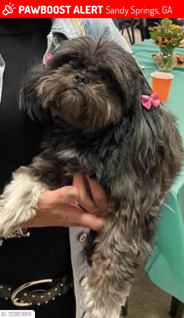 Lost Female Dog last seen Huntcliff Trce / Trail Pt, Sandy Springs, GA 30350
