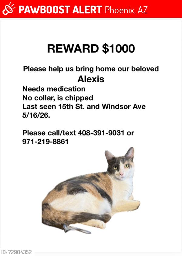 Lost Female Cat last seen Near St and Windsor Ave , Phoenix, AZ 85006