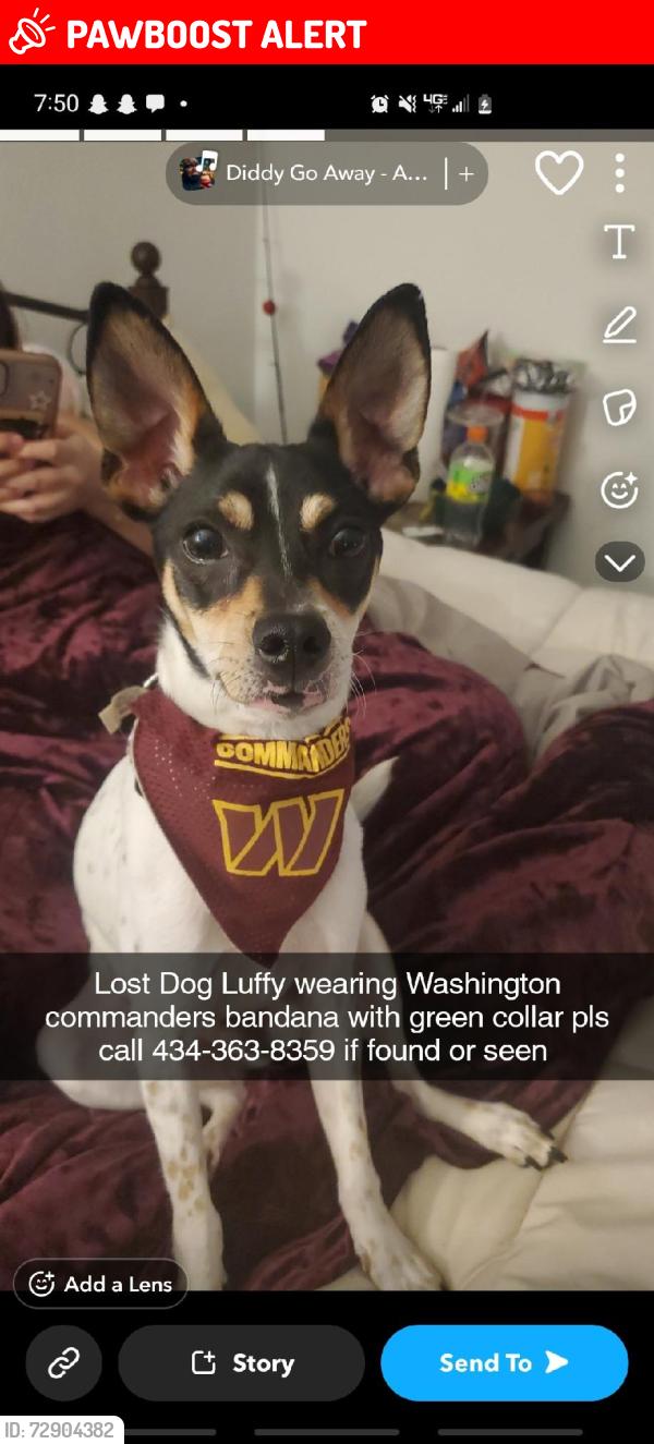 Lost Male Dog last seen lakeside dr lynchburg va , Campbell County, VA 24504
