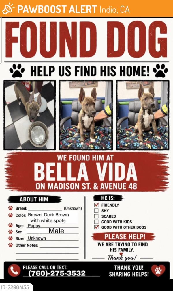 Found/Stray Male Dog last seen Madison & Avenue 48, Indio, CA 92201